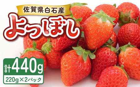 【2026年発送分 先行予約】よつぼし（220g×2パック）/ いちご / 佐賀県 / 岸川農園 [41ASAG038]