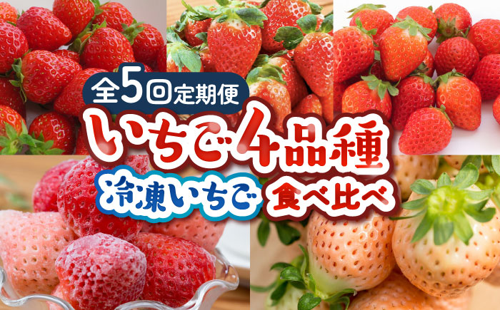 【2026年発送分 先行予約】【全5回定期便】佐賀県産 いちご4品種（いちごさん・さがほのか・よつぼし・淡雪）と冷凍いちご食べ比べ / フルーツ / 佐賀県 / 岸川農園 [41ASAG039]