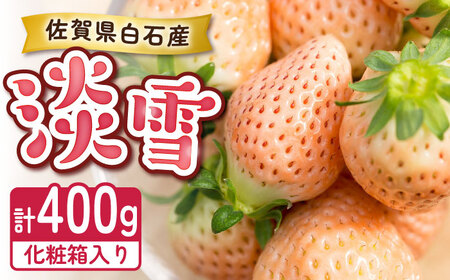 【2026年発送分 先行予約】【化粧箱入り】ほんのりピンクな白いちご希少「淡雪」400g / フルーツ / 佐賀県 / 岸川農園 [41ASAG044]