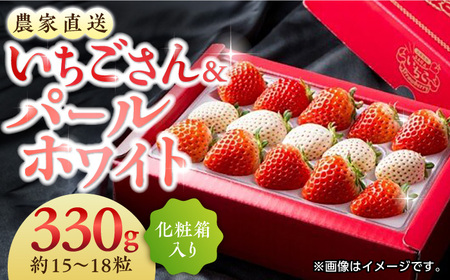 【2026年発送分 先行予約】【化粧箱入り】佐賀県産 いちごさん・パールホワイト 330g（約15-18粒） / フルーツ / 佐賀県 / かわさきいちご [41ASBJ002]