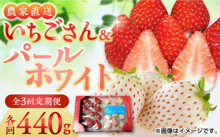 【2026年発送分 先行予約】【全3回定期便】いちごさん・パールホワイト各220g 詰め合わせ / フルーツ / 佐賀県 / かわさきいちご [41ASBJ008]
