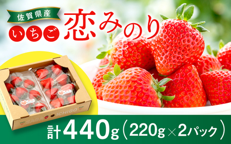 【2026年発送分 先行予約】佐賀県産いちご 恋みのり 220g×2パック /フルーツ / 佐賀県 / 鐘ヶ江農園 [41ASBK001]