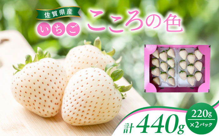 【先行予約】 佐賀県産白いちご 新品種 こころの色 220g×2パック / フルーツ / 佐賀県 / 鐘ヶ江農園 [41ASBK003]