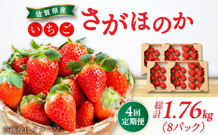 【2026年発送分 先行予約】【全4回定期便】さがほのか 220g×2パック×4回 / いちご / 佐賀県 / 鐘ヶ江農園 [41ASBK004]