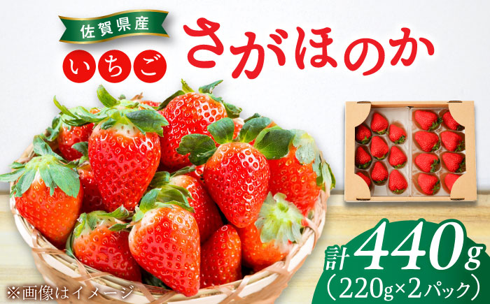 【2026年発送分 先行予約】さがほのか 220g×2パック / いちご / 佐賀県 / 鐘ヶ江農園 [41ASBK005]