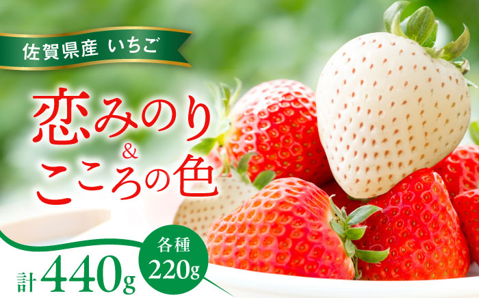 【先行予約】恋みのり・こころの色 220g×2パック（各1パック） / いちご / 佐賀県 / 鐘ヶ江農園 [41ASBK007]
