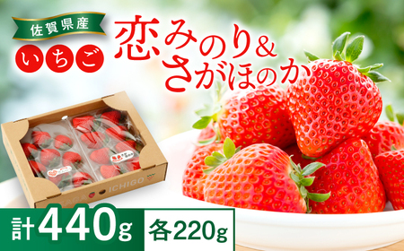【2026年発送分 先行予約】恋みのり・さがほのか 各220g 詰め合わせセット / いちご / 佐賀県 / 鐘ヶ江農園 [41ASBK008]
