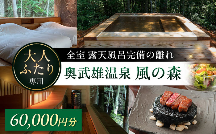 奥武雄温泉風の森 宿泊補助券 6万円分 / 宿泊券 旅館 旅行 サウナ / 佐賀県 / 株式会社GOTENリゾート [41ATAB004]