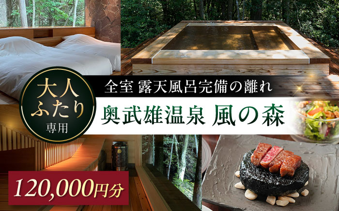 【連泊向け】奥武雄温泉風の森 宿泊補助券 12万円分 / 宿泊券 旅館 旅行 サウナ / 佐賀県 / 株式会社GOTENリゾート [41ATAB007]