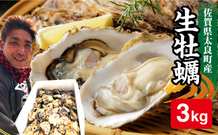 竹崎産 ブランド生牡蠣「ゆり姫」5kg（ナイフ付き）/ かき / 佐賀県 / 宗徳丸 [41ATAF003]