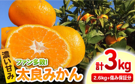 完熟 太良みかん 計3kg（2.6kg＋400g傷み保証分）/ フルーツ / 佐賀県 / 山本農園 [41ATBT002]