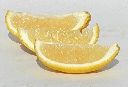 ムーンオレンジ！弓削瓢柑！4.5kg / みかん / 佐賀県 / 山本農園 [41ATBT012]