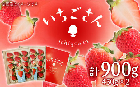 [佐賀県産いちご]いちごさん(450g×2パック)/ いちご イチゴ 苺 果物 フルーツ / 佐賀県 / JAからつ 唐津うまかもん市場 [41ABCA002]