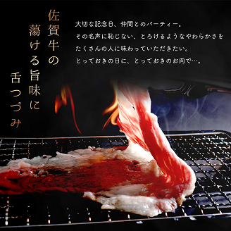 佐賀牛切り落としコウネちゃん600g：B180-005