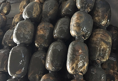 うんっま！！佐賀れんこん 2kg：B125-008