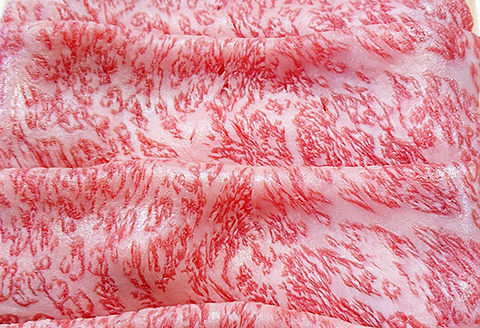 【偶数月定期便（年6回）】しゃぶしゃぶすき焼き用500g：C172-002