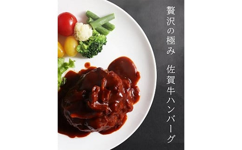 【偶数月定期便（年6回）】佐賀牛入りハンバーグ 10個：B895-002