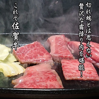 佐賀牛はしっこちゃん500：B160-029