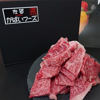 佐賀牛はしっこちゃん2000：B510-002