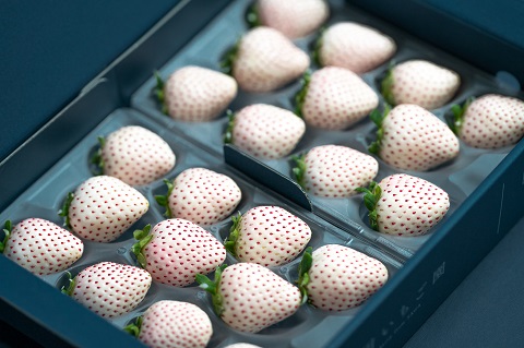 佐賀県産いちご パールホワイト：B190-025