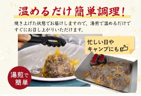佐賀牛ハンバーグ 10個セット：B315-005