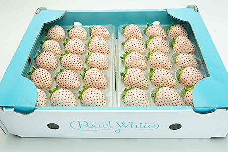 【定期便3回】佐賀県産 ３種いちご食べ比べ【2月から4月発送】：B395-006