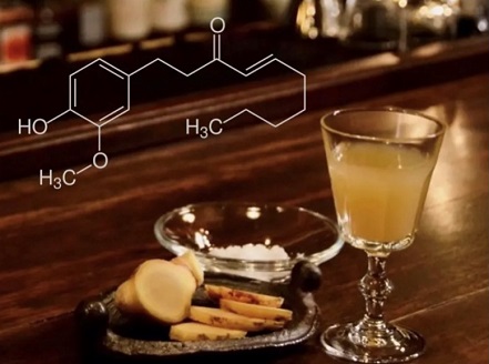 蒸し生姜シロップ濃味2本セット 栽培期間中農薬不使用で自然な美味しさ：B170-012