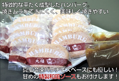 佐賀牛入りハンバーグ　140g×5個　累計販売個数10万個以上　甘めの特製和風ソース付：B100-012