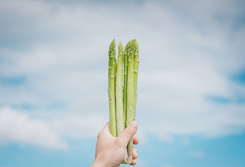 たけだファーム産地直送グリーンアスパラガス 2Lサイズ1kg：B170-015