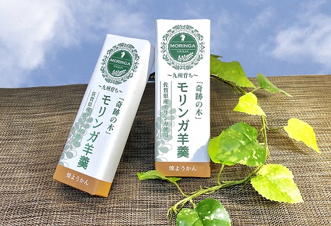 佐賀県産スーパーフードモリンガ入羊羹（練羊羹）：A085-040