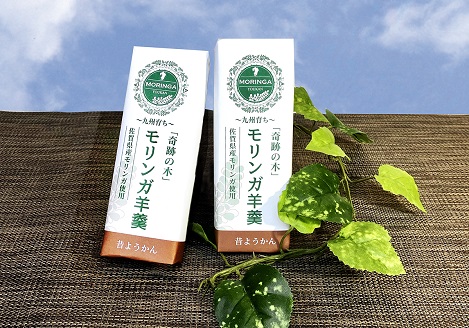 佐賀県産スーパーフードモリンガ入羊羹（昔羊羹）：A085-039