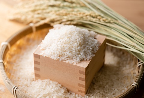 佐賀特A米さがびよりと佐賀のり2種：B190-040