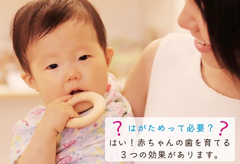 【名入可能】木のはがため【諸富家具】：B140-081