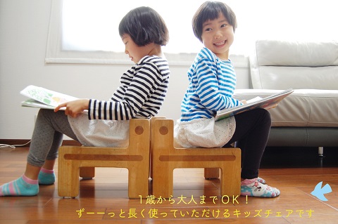 ケロチェア【諸富家具】：B880-005