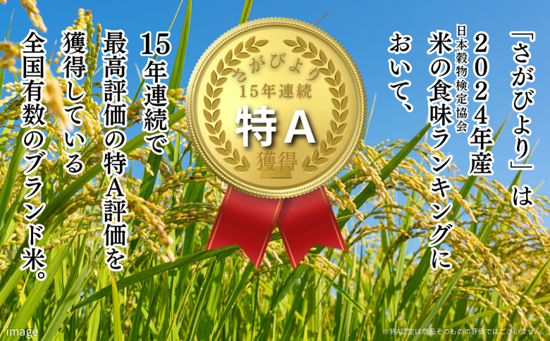 【新米】令和7年 佐賀県産「さがびより」5kg：B120-068