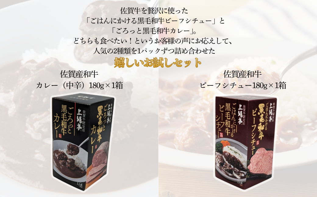 ごろっとカレー・ビーフシチューセット 佐賀牛 カレー ビーフシチュー レトルト 湯煎 レンジ調理 簡単 ：A080-012