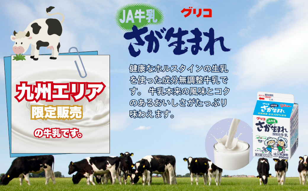JAさが生まれ牛乳 200ml×12本セット：A080-017
