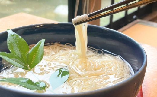 SAGAグルメセット（そうめん）：B145-014