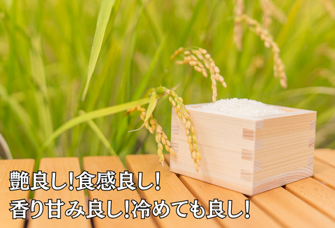 【新米】令和7年 佐賀県産 さがびより白米12kg：B380-001