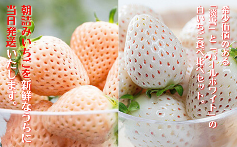 佐賀県産 白いちご 淡雪＆パールホワイト：B180-035