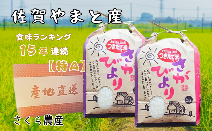 佐賀県大和産「さがびより」5kg×2袋 米 農家直送：B320-017