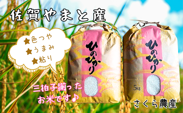佐賀県大和産「ひのひかり」5kg×2袋 米 農家直送：B320-018