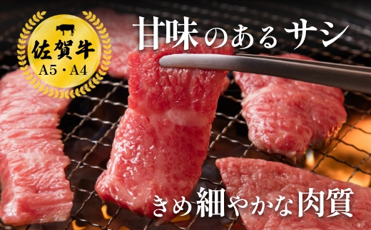 佐賀牛堪能 焼肉5種セット 響盛：B320-003