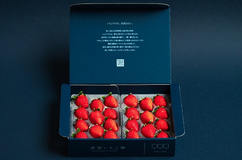 佐賀県産いちご やよいひめ：B100-038