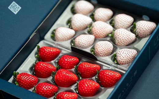 佐賀県産いちご やよいひめ&パールホワイト 紅白セット：B140-082