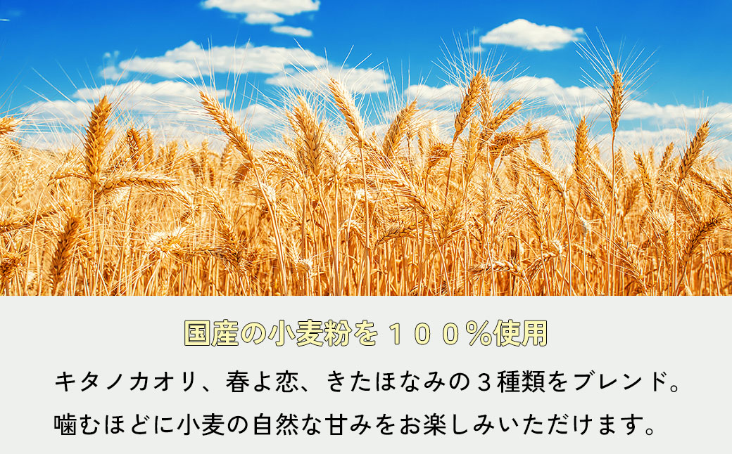 おまかせベーグル10個セット 詰め合わせ もちもち 国産小麦 こだわり食材 パン 冷凍 朝食 ベーグル 行列 人気店 MORE BAGEL 佐賀市：B150-054