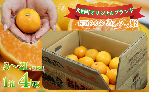 【10～12月発送】数量限定 佐賀みかん あんみつ姫 佐賀市大和町産 温州みかん：B150-075