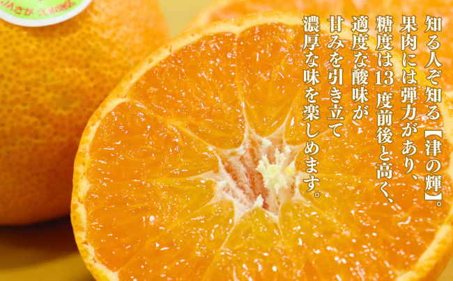 【12月～2月上旬発送】佐賀市大和町産みかん「津の輝」 温州みかん 佐賀みかん 贈答 ギフト：B150-076