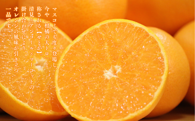 【1月中旬～2月下旬発送】佐賀市大和町産みかん「せとか」：B150-077