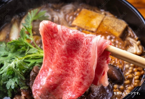 佐賀牛(A5ランクプレミアム) 赤身切り落とし 500g：B160-040